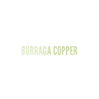 Burraga Copper Logo
